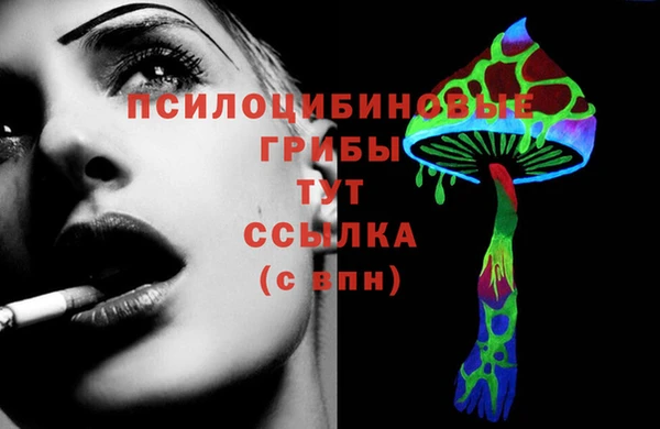 бошки Алексин