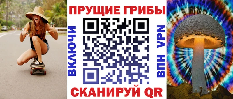Галлюциногенные грибы Psilocybe  Красновишерск 